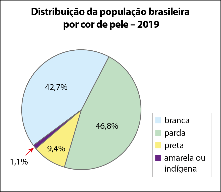 Gráfico de setores. Título: Distribuição da população brasileira por cor de pele no ano de 2019. Os dados são: Branca: 42,7%. Parda: 46,8%. Preta: 9,4%. amarela ou indígena: 1,1%