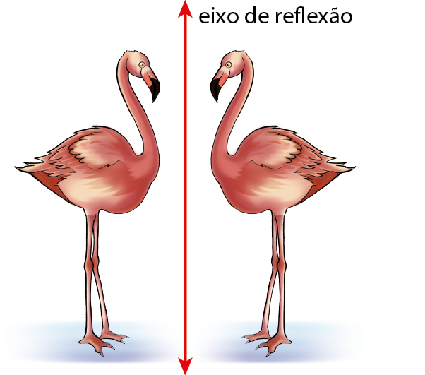 Ilustração. Ave de pescoço longo, pernas compridas e bico fino. Ela está em pé virada para direita. Reta vertical (eixo de reflexão). A mesma figura da ave virada para esquerda.