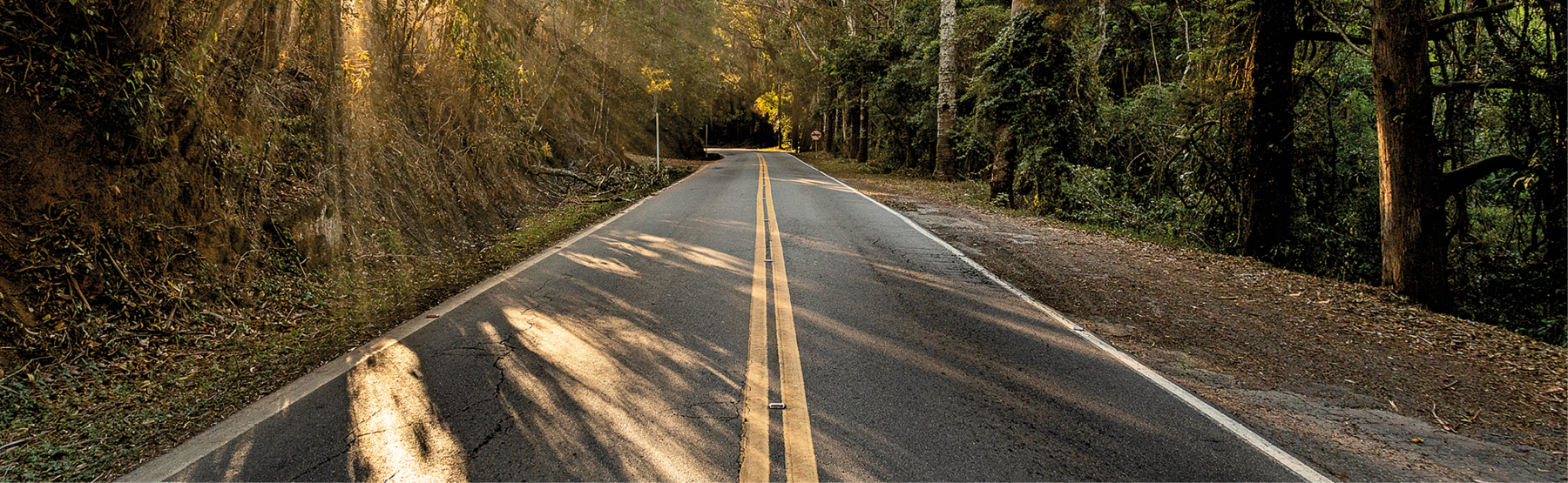 Fotografia. Um trecho reto de uma estrada asfaltada vazia, sem carros. Nela há uma faixa branca de cada lado mostrando o limite do asfalto e ao centro duas faixas amarelas próximas mas não grudadas que separa as duas mãos, ida e vinda, da estrada. às margens da estrada, dos dois lados, muita vegetação e raios de sol que passam pelas árvores e fazem trechos de luz e sombra no asfalto.