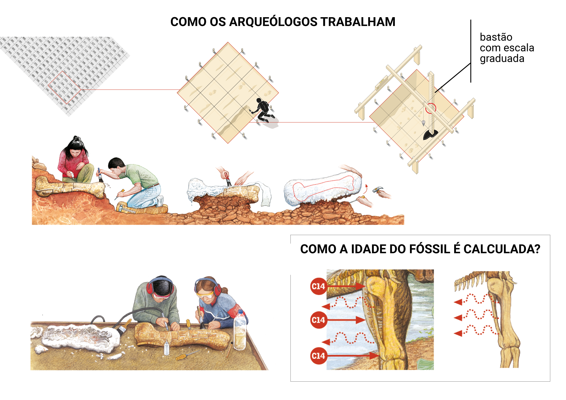 Preenchido dinamicamente