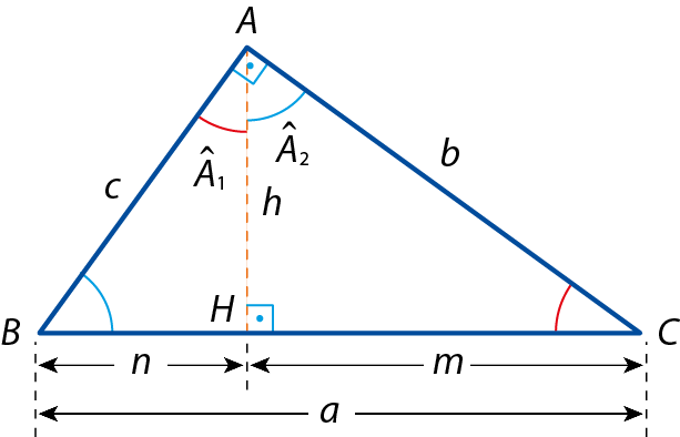 Ilustração. Triângulo ABC. De A, segmento de reta h até lado BC, no ponto H e ângulo reto em H. Em A, ângulo A1 e A2. As medidas dos lados são: AB: c. AC: b e BC: a. De B até H, medida n e de H até c, medida m.