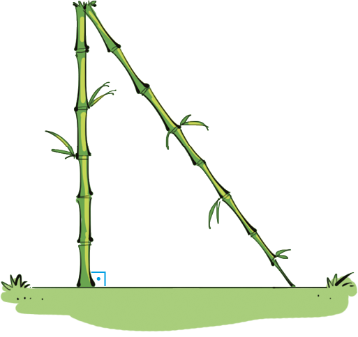 Ilustração. Bambu na vertical e outro na diagonal formando triângulo junto ao chão. Ângulo reto entre o chão e o bambu na vertical.
