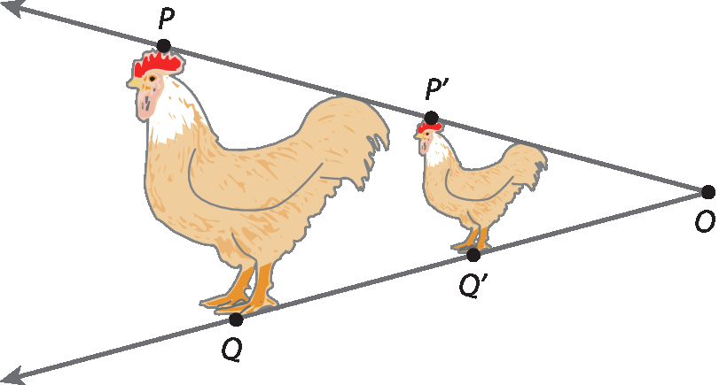 Ilustração. À direita, ponto O. De O, saem duas semirretas, uma em sentido diagonal para cima que passa pelos pontos P linha e P, e outra em sentido diagonal para baixo que passa pelos pontos Q linha e Q. Entre as retas, a figura de uma galinha que tem a cabeça no ponto P e os pés no ponto Q, e uma outra galinha menor, que tem a cabeça no ponto P linha e os pés no ponto Q linha.