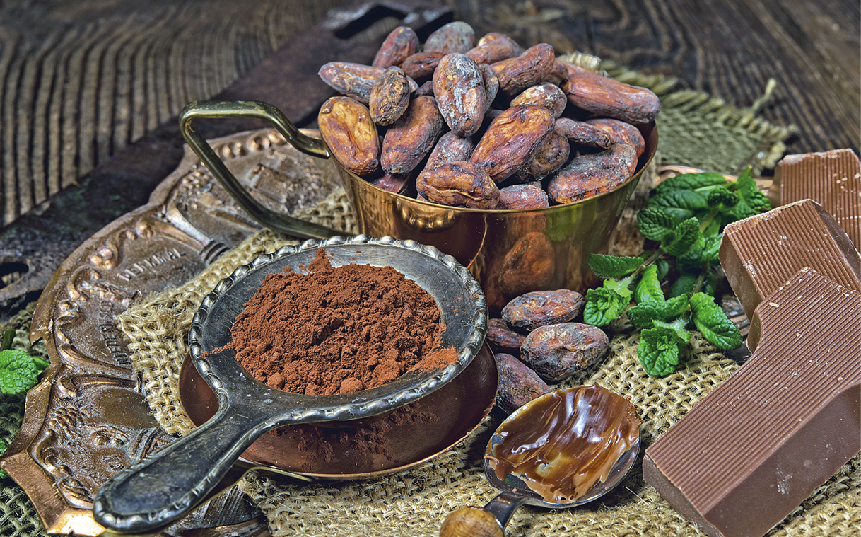 Fotografia. Vista superior de recipiente redondo com sementes de cacau. Ao lado, cacau em pó. À direita, pedaços de chocolate.