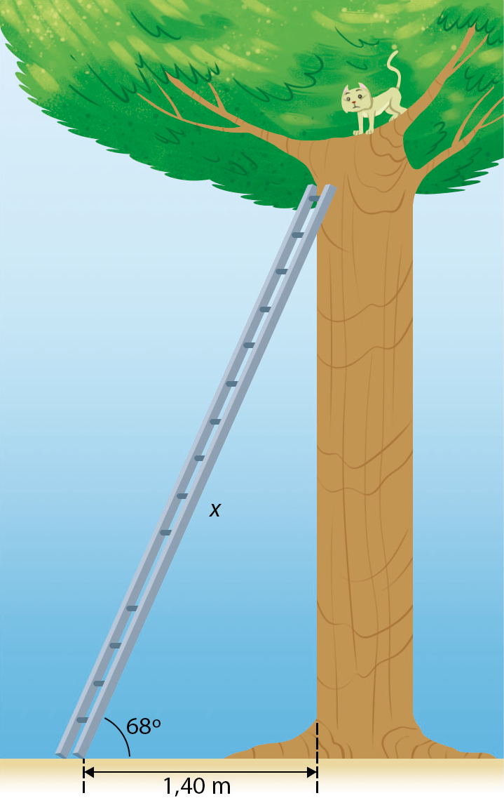 Ilustração. À direita, árvore com um gato no topo. À esquerda, escada encostada na árvore com medida x. ângulo da escada com o solo: 68 graus. Distância da escada até a árvore: 1,40 metros.