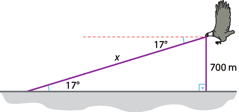 Ilustração. Vista lateral do ataque de um gavião. À direita, gavião na altura de 700 metros. Segmento de medida x até um ponto no solo à esquerda, formando ângulo de 17 graus. Reta tracejada horizontal na altura do gavião, paralela ao solo, formando ângulo de medida 17 graus com o segmento de medida x.
