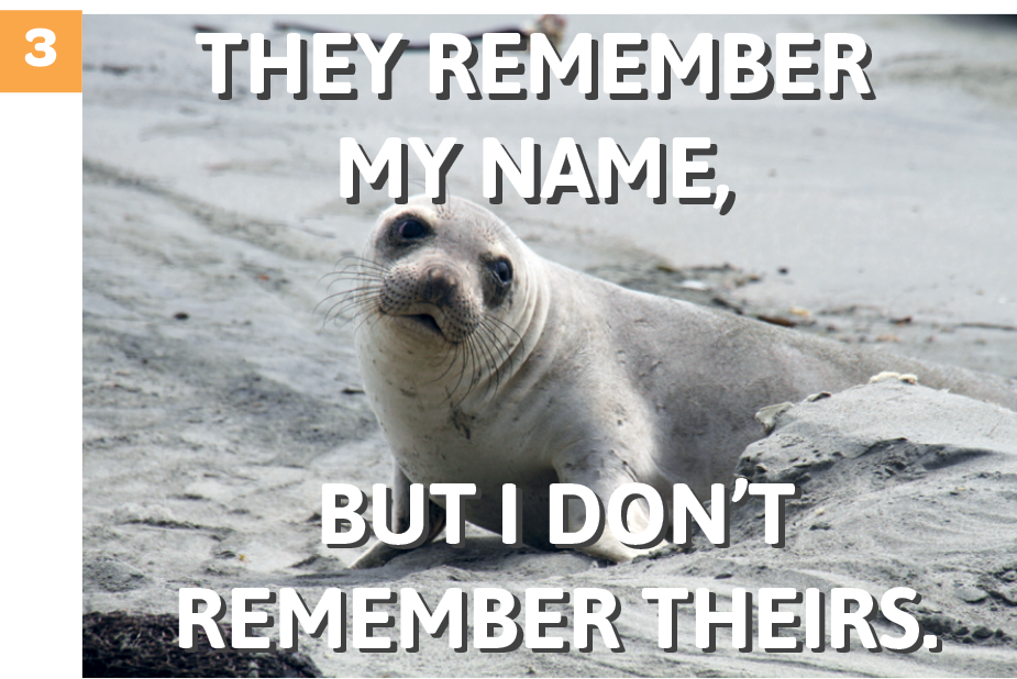 Meme. Número 3. Fotografia de uma foca cinza deitada em um chão de areia. Na parte superior, lê-se THEY REMEBER MY NAME,. Na parte inferior, lê-se BUT I DON’T REMEMBER THEIRS.