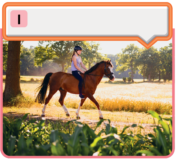Fotografia. Uma menina usando capacete está montada em um cavalo marrom; ao fundo há um jardim.