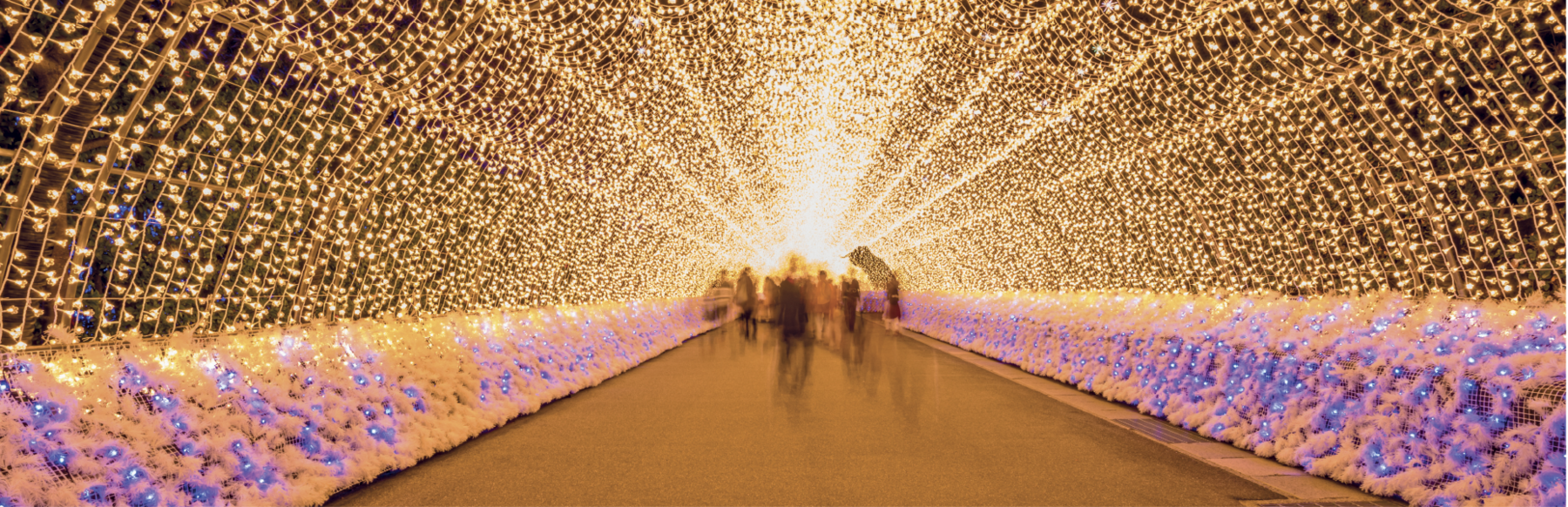 Fotografia. Um túnel iluminado com milhares de luzinhas brilhantes douradas. Nas laterais, próximo ao chão, há milhares de flores brancas e com luzinhas azuis. Legenda: Nabana no Sato's winter illumination Festival at Nabana no Sato park, in Kuwana, Japan.