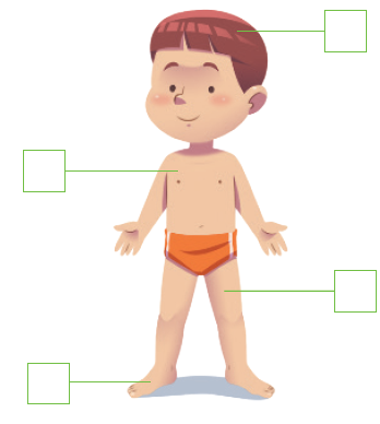 IMAGEM: um menino de pé, vestindo apenas cueca. há quatro quadradinhos para serem preenchidos, um conectado à cabeça, outro ao tronco, outro às pernas e outro aos pés. FIM DA IMAGEM.