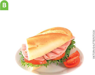 IMAGEM: um prato com um sanduíche. FIM DA IMAGEM.
