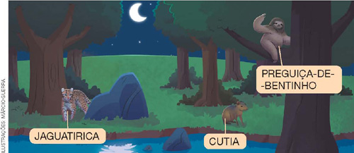 IMAGEM: uma floresta a noite, com uma preguiça-de-bentinho em cima de uma árvore, uma cutia e uma jaguatirica na grama. FIM DA IMAGEM.