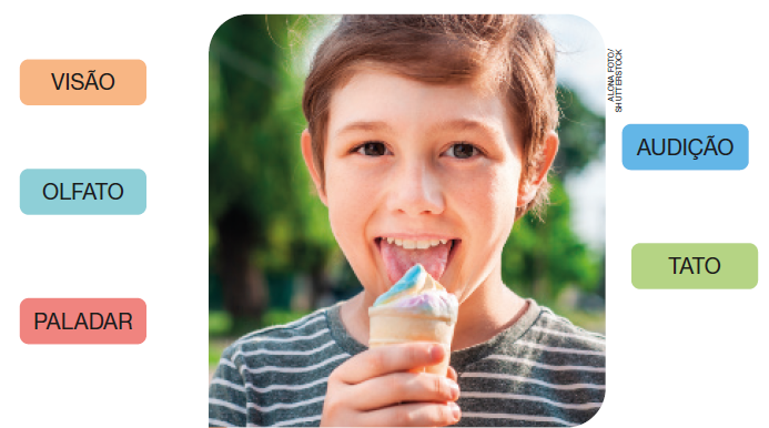 IMAGEM: Duas colunas, uma de cada lado de uma fotografia de uma criança tomando um sorvete. Do lado esquerdo, os sentidos: visão, olfato e paladar. Do lado direito, os sentidos: audição e tato. Peça ajuda ao professor. FIM DA IMAGEM.