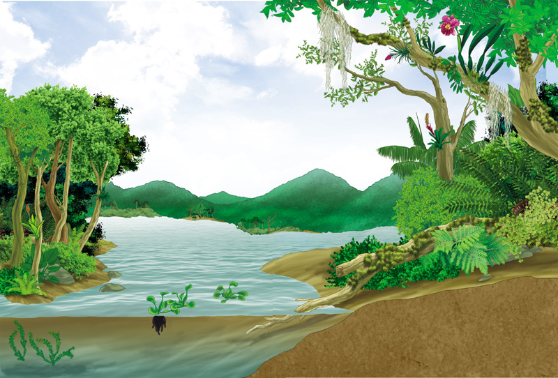 IMAGEM: paisagem natural ilustrada, com plantas, árvores, flores, rio e montanhas ao fundo. na beira do rio, o solo é arenoso. plantas aquáticas, chamadas aguapés, boiam sobre as águas. FIM DA IMAGEM.