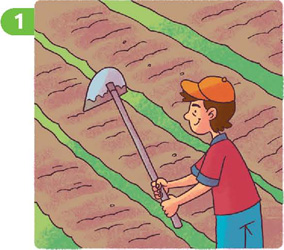 IMAGEM: série de quatro quadros ilustrados. o primeiro quadro mostra um homem, vitor, rastelando áreas de terra vegetal. FIM DA IMAGEM.