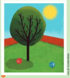 IMAGEM: em um dia de sol, uma árvore e duas bolas sobre o gramado. a árvore projeta uma sombra sobre uma das bolas. a outra bola recebe luz solar direta. FIM DA IMAGEM.