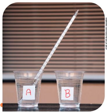 IMAGEM: lado a lado, os dois copos de plástico com água, indicados pelas letras a e b, respectivamente. há um termômetro no copo a. FIM DA IMAGEM.