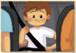 IMAGEM: um menino usa cinto de segurança no banco de trás de um carro. FIM DA IMAGEM.