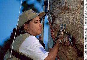 IMAGEM: a bióloga neiva guedes, usando equipamento de escalada, segura-se a uma rocha. FIM DA IMAGEM.