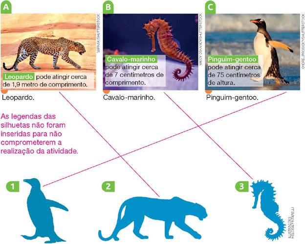 IMAGEM: a imagem do leopardo se conecta à alternativa 2. a imagem do cavalo marinho se conecta à alternativa 3. a imagem do pinguim se conecta à alternativa 1. FIM DA IMAGEM.