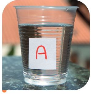 IMAGEM: copo plástico cheio de água com uma etiqueta indicando a letra a. o copo está em ambiente ensolarado. FIM DA IMAGEM.