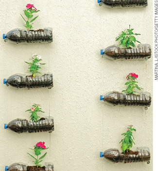 IMAGEM: plantas em vasos de garrafa pet fixados em uma parede. FIM DA IMAGEM.