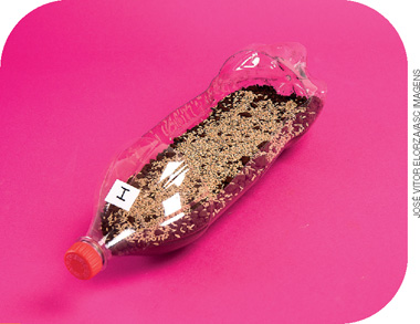 IMAGEM: uma garrafa pet com um orifício em uma das laterais, contendo solo e sementes de alpiste em seu interior. FIM DA IMAGEM.