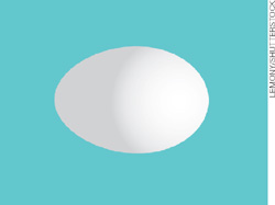 IMAGEM: esquema dividido em duas fases. a primeira mostra um ovo de galinha inteiro. FIM DA IMAGEM.