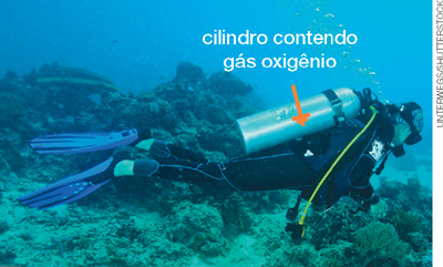 IMAGEM: um mergulhador nada no fundo mar. ele carrega um cilindro de oxigênio nas costas e veste roupa específica para essa atividade. FIM DA IMAGEM.