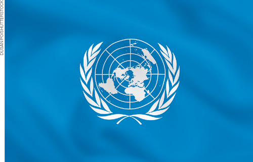 IMAGEM: escudo das organizações das nações unidas. o emblema consiste numa representação da terra rodeada por ramos de oliveira. FIM DA IMAGEM.