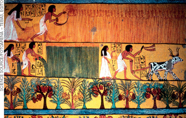 IMAGEM: pintura egípcia em uma parede. no desenho, um casal realiza diferentes etapas de uma plantação, como preparar o solo e arar à terra com o auxílio de um boi. FIM DA IMAGEM.