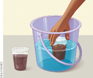 IMAGEM: uma mulher deposita um copo cheio de terra no fundo de um balde com água. um segundo copo cheio de terra encontra-se do lado de fora. FIM DA IMAGEM.