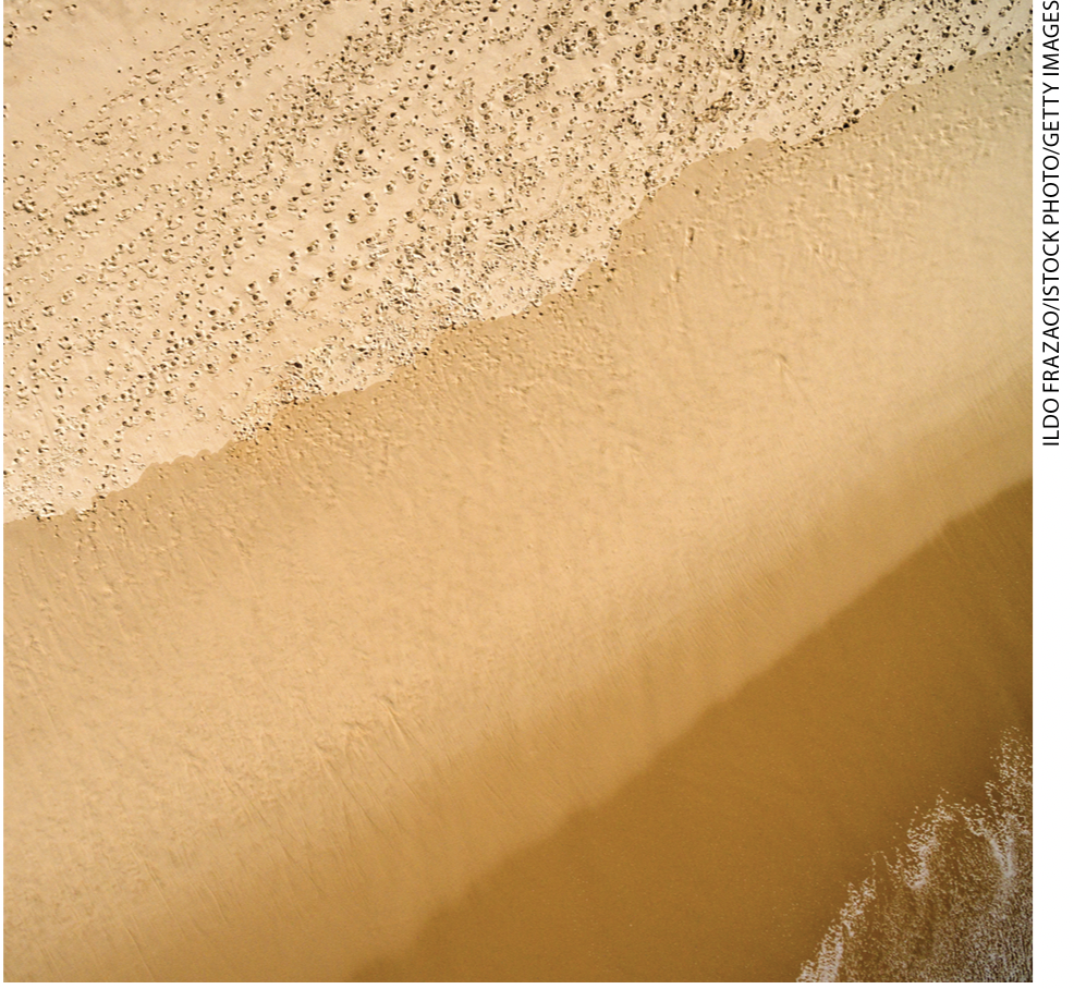 IMAGEM: ação da água em solo rico em areia. a área molhada está secando rapidamente. FIM DA IMAGEM.