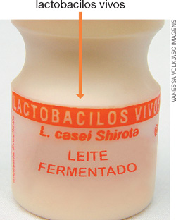 IMAGEM: embalagem de leite fermentado onde está escrito: lactobacilus vivos. FIM DA IMAGEM.