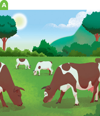 IMAGEM: em a, nota-se um grande pasto verde com árvores ao redor onde vacas saudáveis estão pastando. FIM DA IMAGEM.