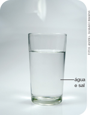 IMAGEM: copo transparente de vidro onde estão água e sal diluído. FIM DA IMAGEM.