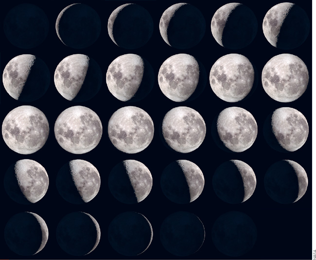 IMAGEM: ciclo lunar visto da superfície da terra. FIM DA IMAGEM.