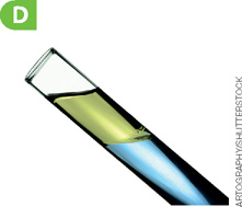 IMAGEM: D. Mistura de óleo e água no interior de um tubo de ensaio de vidro. O óleo está sobre a água. FIM DA IMAGEM.