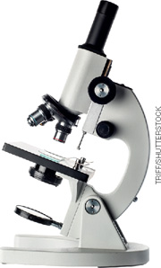 IMAGEM: microscópio óptico. FIM DA IMAGEM.