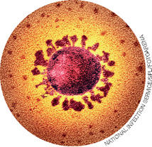 IMAGEM: imagem microscópica do vírus sars-cov-2 em formato esférico. FIM DA IMAGEM.