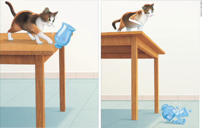 IMAGEM: duas imagem uma ao lado da outra. na esquerda, um gato sobre uma mesa derrubando um vaso de vidro, na direita o gato observa o vaso quebrado no chão. FIM DA IMAGEM.