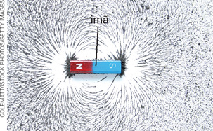 IMAGEM: campo magnético de um ímã representado pelas limalhas de ferro que ficam dispersas ao redor dele. FIM DA IMAGEM.