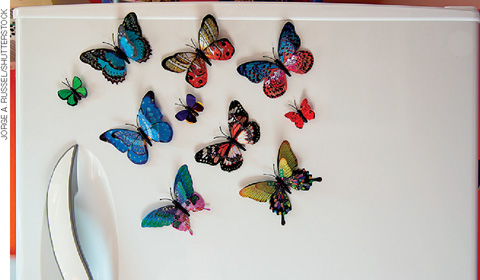 IMAGEM: na porta de uma geladeira há diversos ímãs de borboletas. FIM DA IMAGEM.