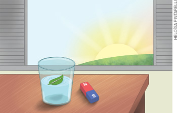 IMAGEM: em uma mesa em frente a uma janela aberta onde se observa o pôr do sol estão um copo transparente contendo água e uma folha verde em seu interior ao lado de um ímã. FIM DA IMAGEM.