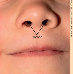 IMAGEM: nariz de uma criança, com linhas apontando para os pêlos no interior das narinas. FIM DA IMAGEM.
