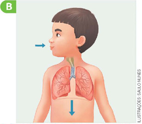IMAGEM: menino ilustrado com destaque para suas estruturas respiratórias. há uma seta um pouco abaixo dos pulmões, apontando para baixo, e outra seta apontando na direção de seu nariz e sua boca, que está fechada. os pulmões estão um pouco maiores do que na primeira imagem. FIM DA IMAGEM.
