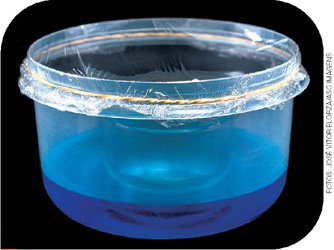 IMAGEM: recipiente plástico com um copo em seu interior. a abertura na parte de cima foi fechada com plástico filme e um elástico. FIM DA IMAGEM.