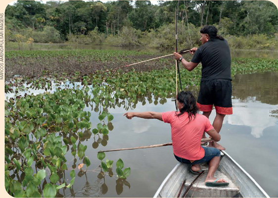 IMAGEM: dois homens pescando com arco e flecha sobre uma canoa em um rio. FIM DA IMAGEM.