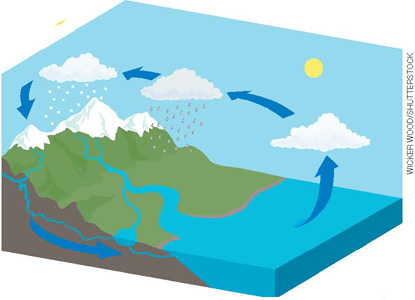 IMAGEM: ciclo da água ilustrado, mostrando através de setas o processo de evaporação, condensação, precipitação e infiltração. FIM DA IMAGEM.