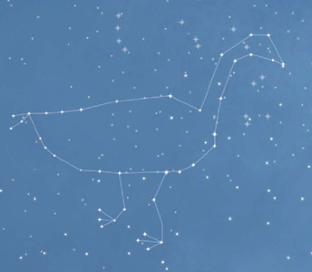 IMAGEM: esquema ligando as estrelas de uma constelação, formando uma imagem parecida com uma grande ave. FIM DA IMAGEM.